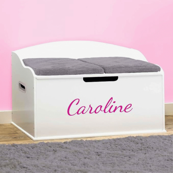 DIBSIES Personalized Toy Box - Pink Color
