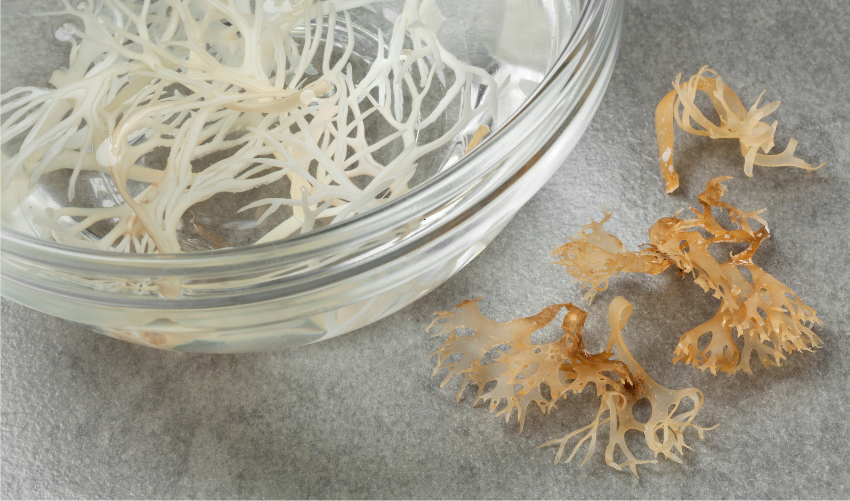can kids take sea moss 1